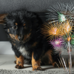 Vuurwerk online training