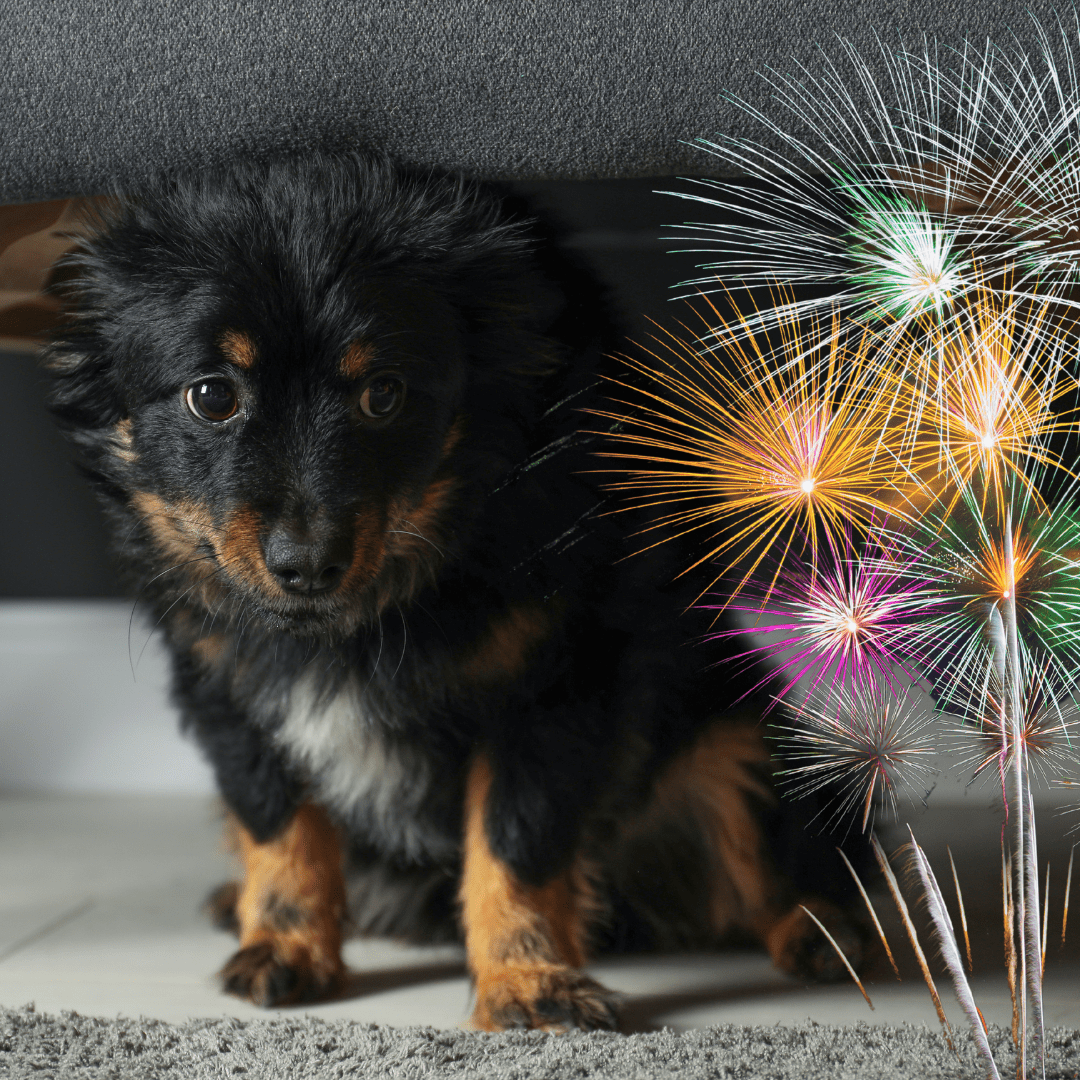 Vuurwerk online training
